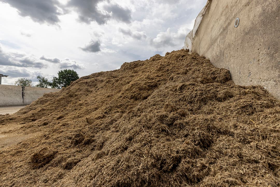 Per keer stort Berg Fourage 30 ton vlas-kalkstrooisel los in de sleufsilo. Bij veel regen wordt de bult afgedekt.