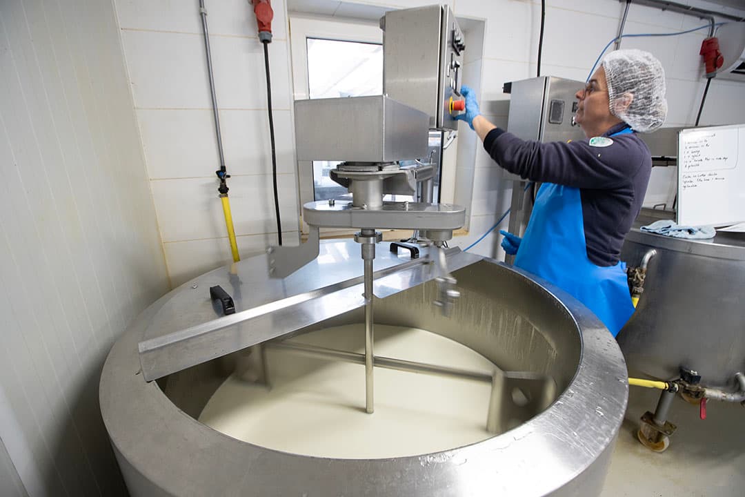 Veneman maakt talloze zuivelproducten, onder andere yoghurt. Op de foto is de bereiding van yoghurt te zien.