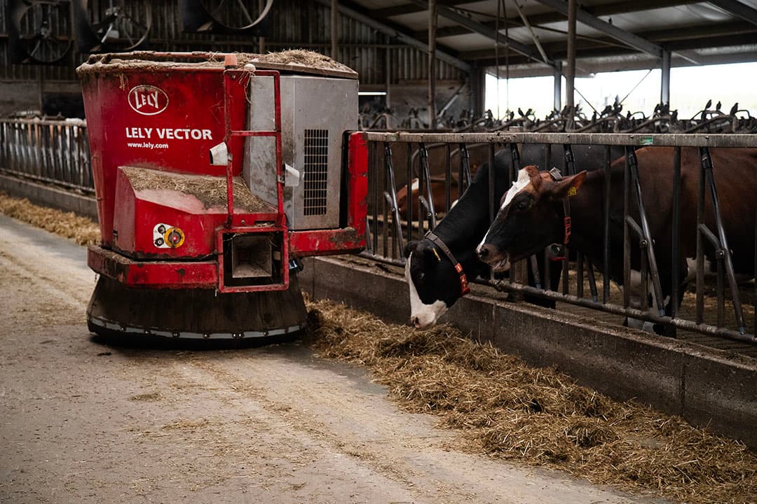 Om arbeid te besparen voert de Lely Vector-voerrobot het vee. Er zijn ook twee Lely A5-melkrobots.
