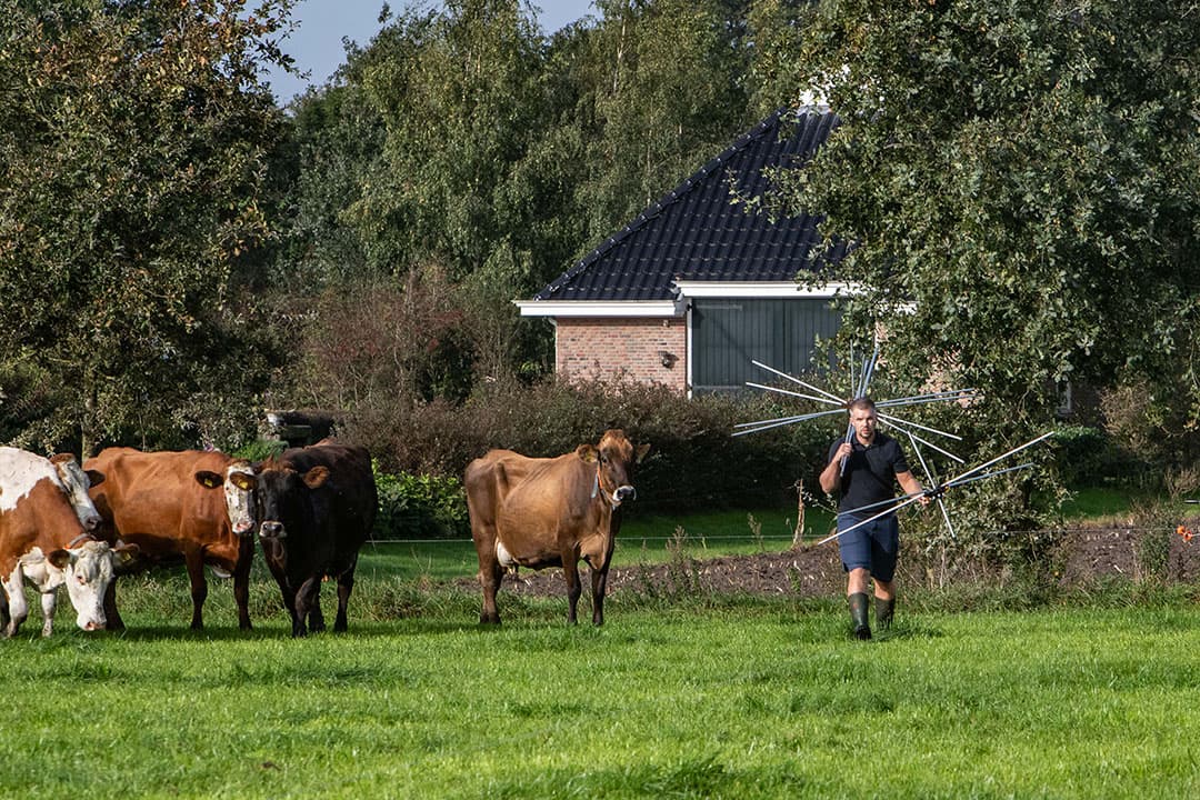 Jan Bart Wessels doet er alles aan om zijn koeien continu vers, smakelijk herfstgras te geven. Via uitgekiend vakmanschap stemt hij weidegang, maaien en bemesting op elkaar af. - Foto's: Ronald Hissink