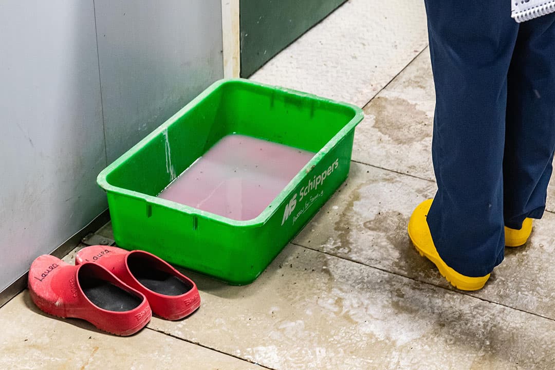 Hoewel het een spf-bedrijf is wordt hygiënisch gewerkt om de kans op ziekteoverdracht zo klein mogelijk te houden.