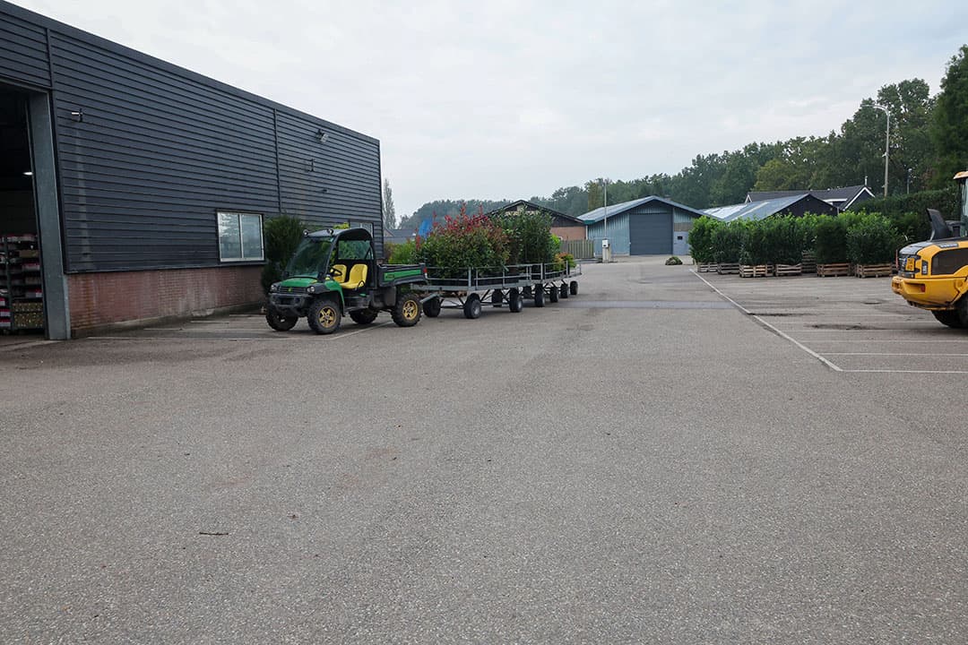 Het erf van plantenkwekerij Sterke, een van de vier telers van miscanthus-uitgangsmateriaal voor Miscanthus Agri.