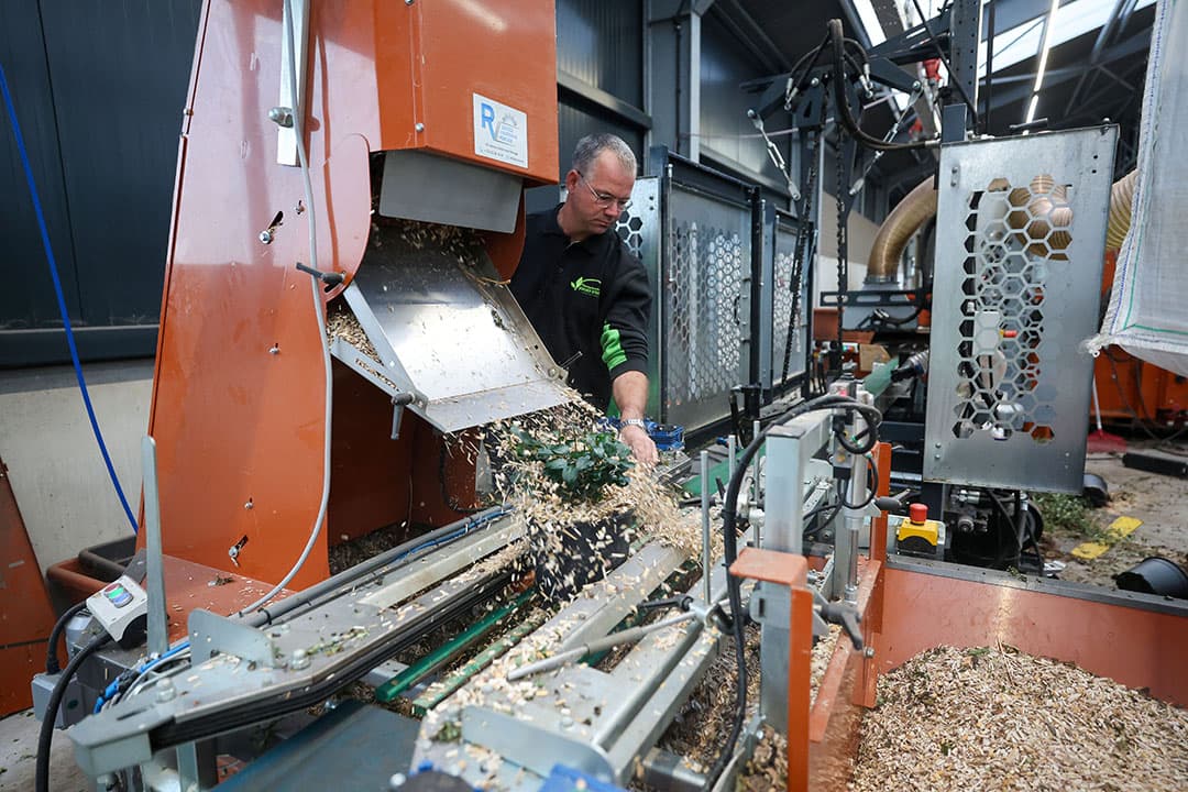 Plantenkweker Joost Sterke demonstreert zijn machine om potplanten af te strooien met miscanthussnippers.
