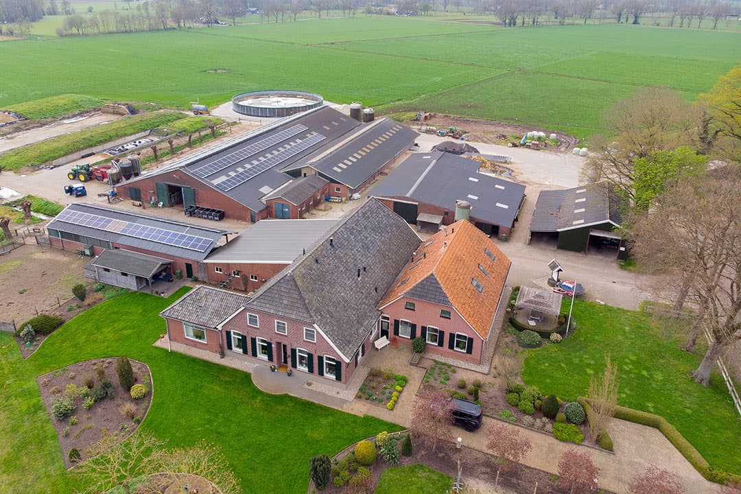 Jan Willem (53) en Trudy (51) Wolsink hebben een melkveebedrijf in Halle (Gld.).