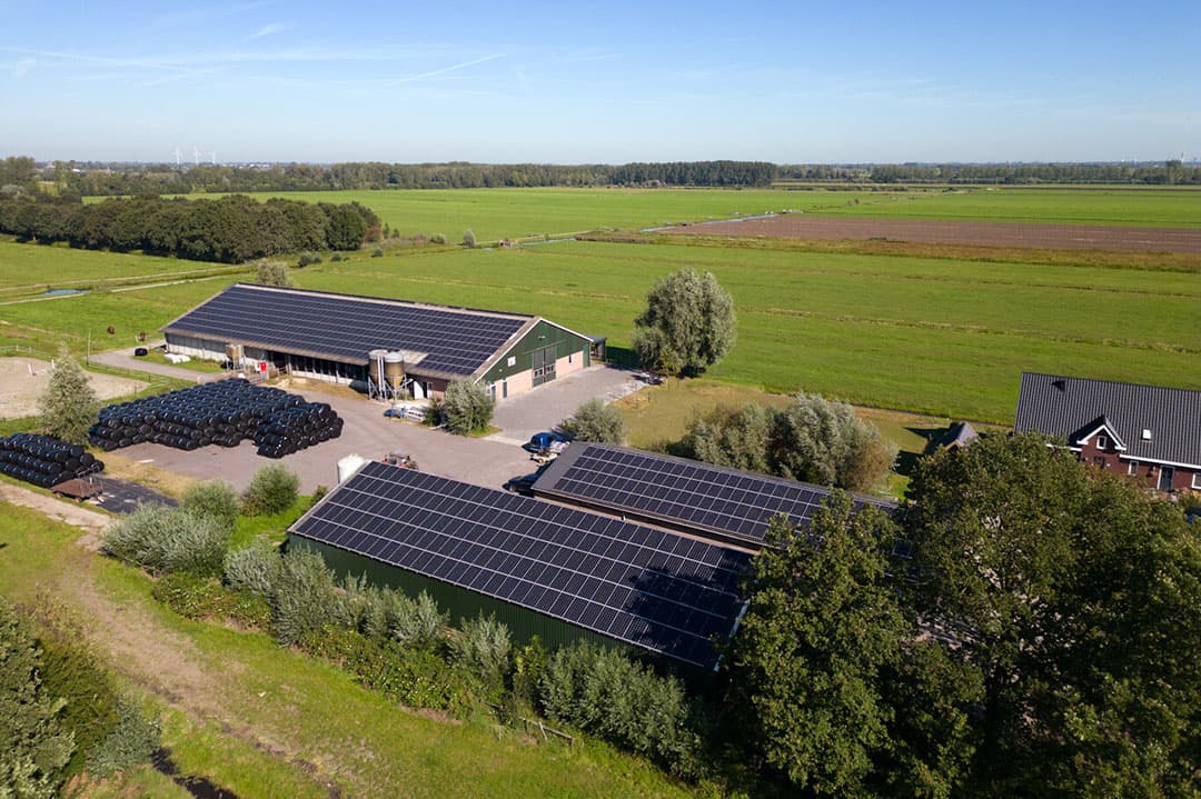 De boerderij van Tijmen van Zessen: niet alleen koeien, maar ook 840 zonnepanelen en innovatie in groene energieopslag met Kiwatt. - Foto's: Herbert Wiggerman