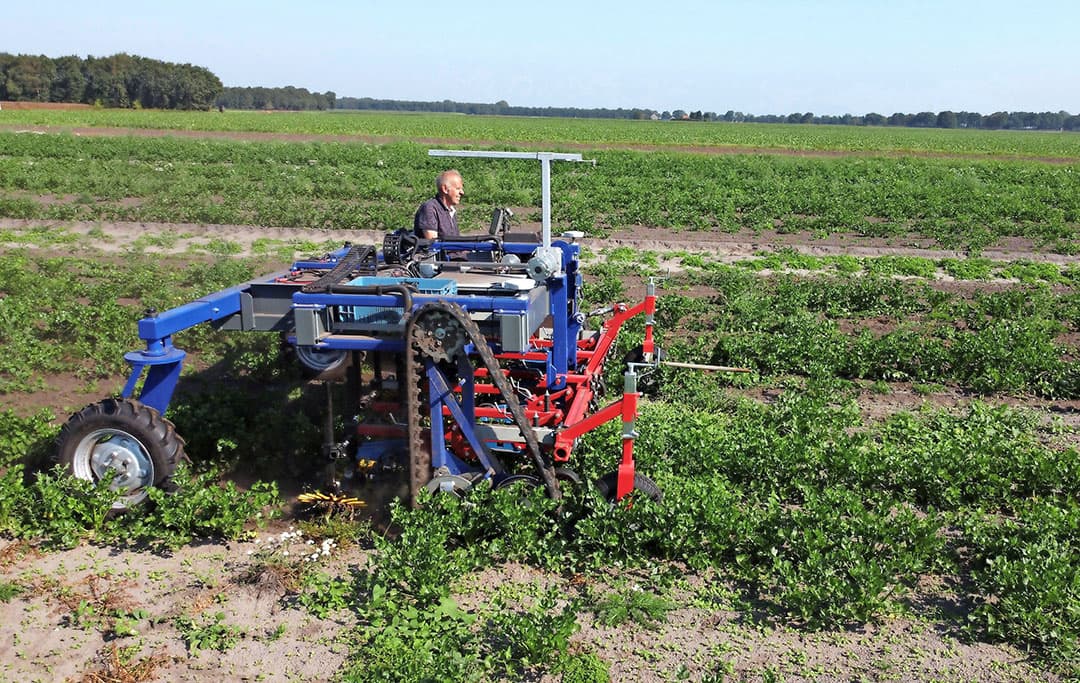 Peter Moors deed dit jaar ervaring op met een elektrisch aangedreven schoffelvoertuig. Dat volgt inmiddels de rijen zelfstandig op basis van gps. - Foto: Martin Smits