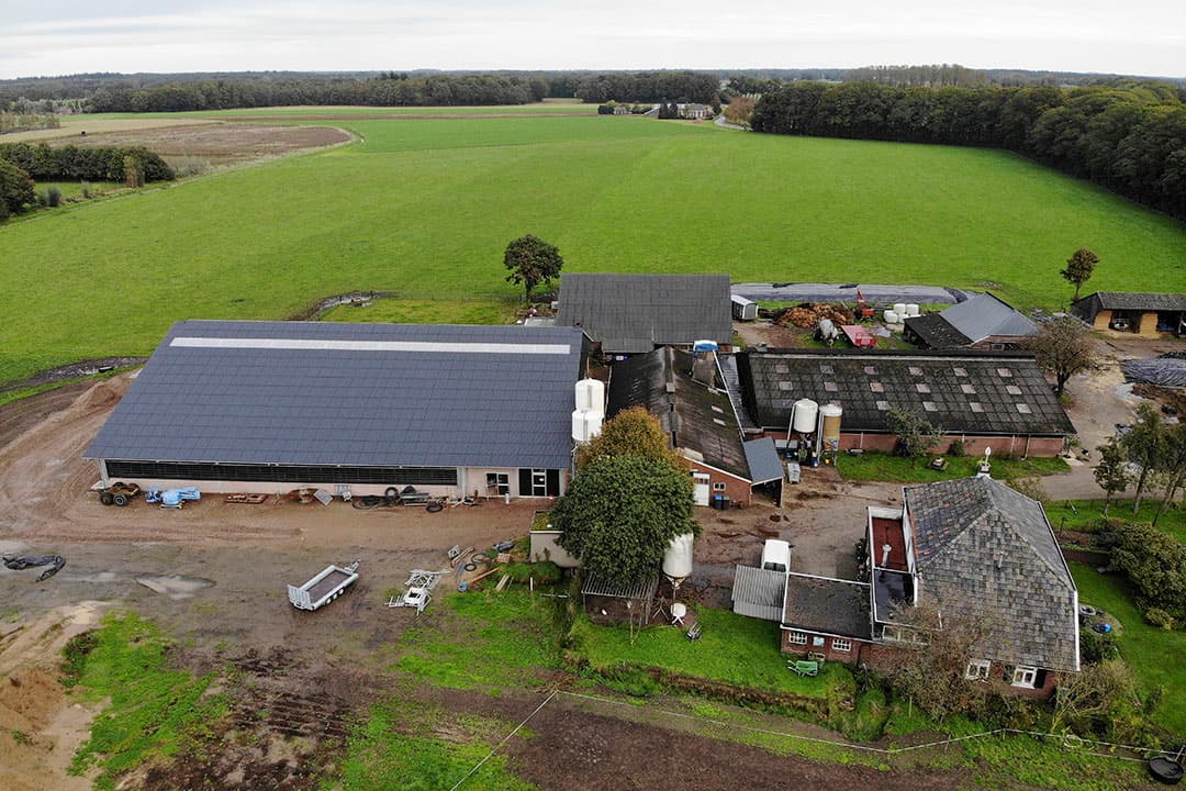 Het melkveebedrijf in Terborg (Gld.) met 75 melkkoeien.