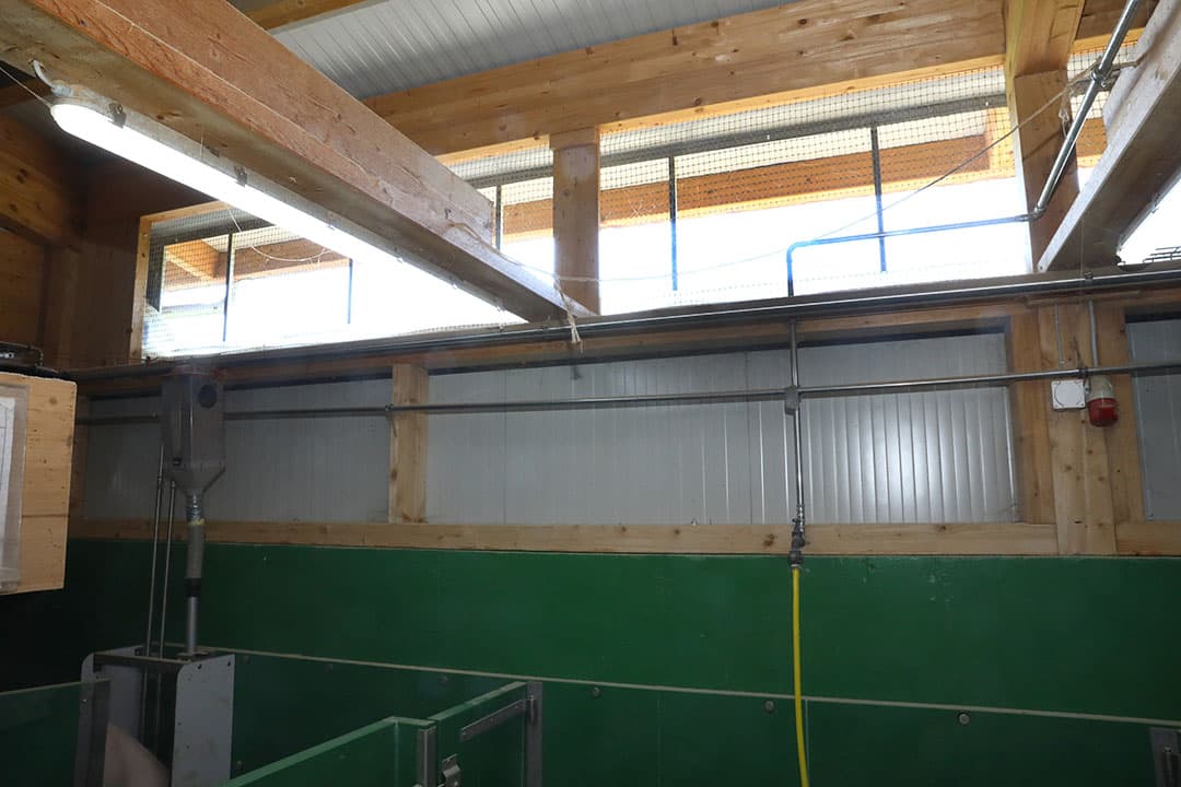 De kraamstal en nieuwe biggenafdeling hebben directe luchtinlaat. Met een luchtslang wordt de inlaat geregeld.