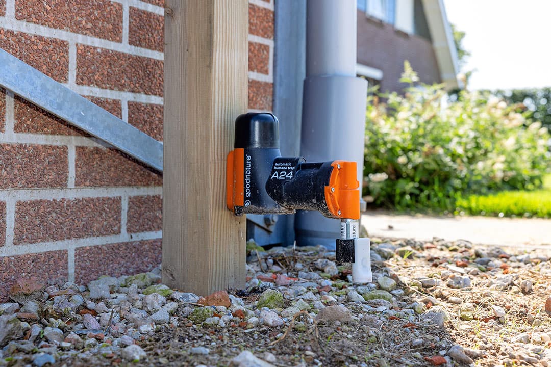 Een pneumatische muizen- en rattenval met teller laat zien dat er regelmatig ongedierte wordt gedood.