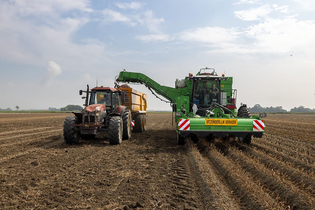 Dinsdag 12 september begon op akkerbouwbedrijf Stols Blinkende Panhoeve 'aardappeloogst 2023' met een perceel roodschillige Rudolph-pootaardappelen in Kerkwerve. - Foto's: Peter Roek