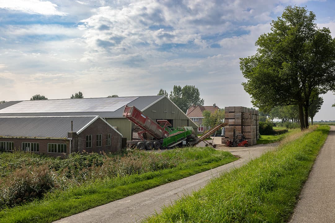 Stols Blinkende Panhoeve in Zierikzee. Bedrijfspand aan de Bettewaardsedijk.