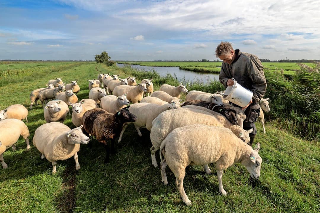 Foto: Peter Roek