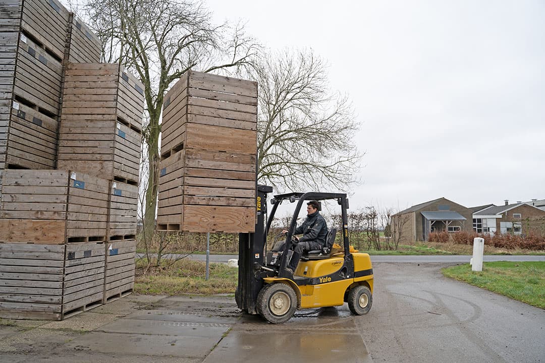 Kisten voor de pootaardappelen wordt op de goede plek gezet. Rustige winterklussen zijn het momenteel voor De Haan. - Foto's: Andrea van Schaik