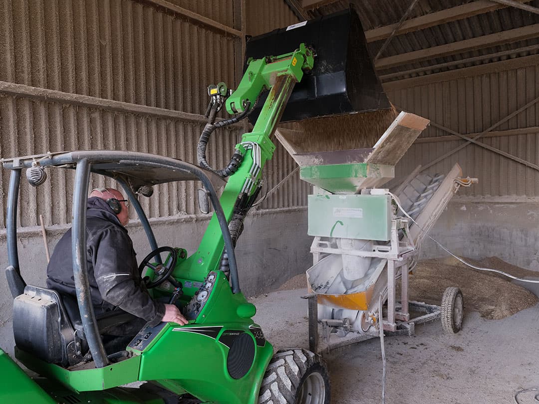 Nadat de veldbonen zijn gemalen, voegt Hugo het veldbonenmeel toe aan het gemengde rantsoen. Het bespaart op aankoop van soja en eiwitmeel.