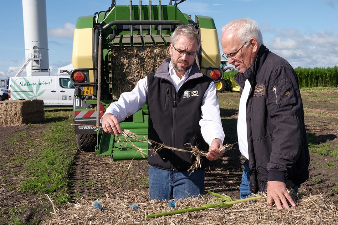 HempFlax had Piet Adema uitgenodigd voor een demo op het veld. Mark Reinders, algemeen directeur van HempFlax laat hem de bastvezels van hennep zien. - Foto: Jan Willem van Vliet
