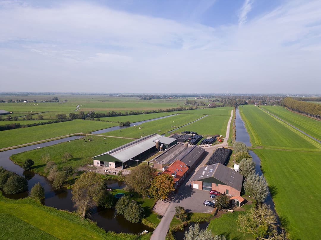 Het melkveehouderijbedrijf in Wilnis.