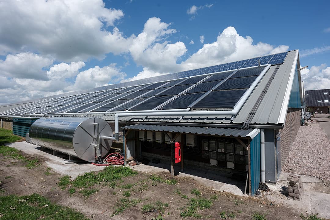 De zonneboiler met op het dak 36 collectoren. Voor de stallen langs -