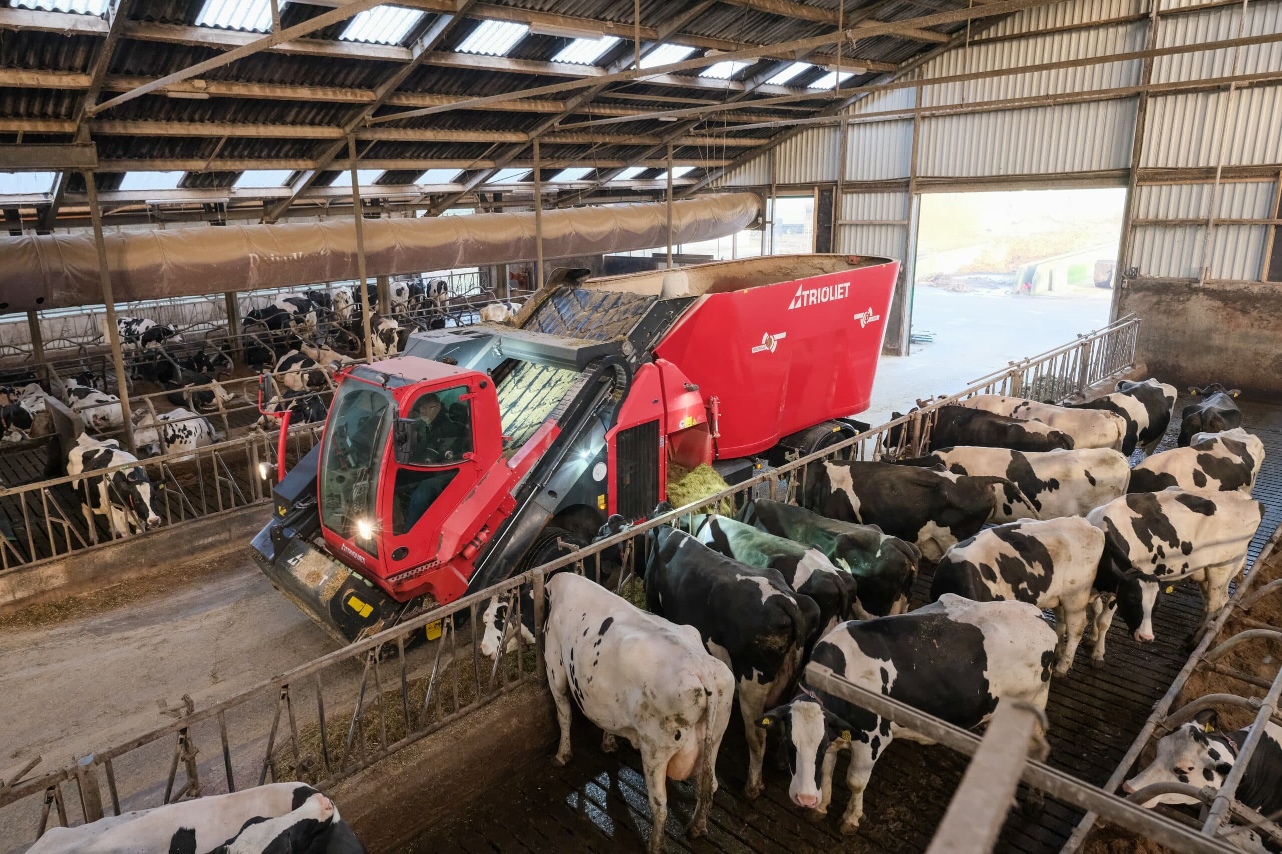 Maatschap Van Oostrum voert een hoogwaardig basisrantsoen met toevoegingen dat de gezondheid van hun koeien verbetert. - Foto's: Jan Willem van Vliet