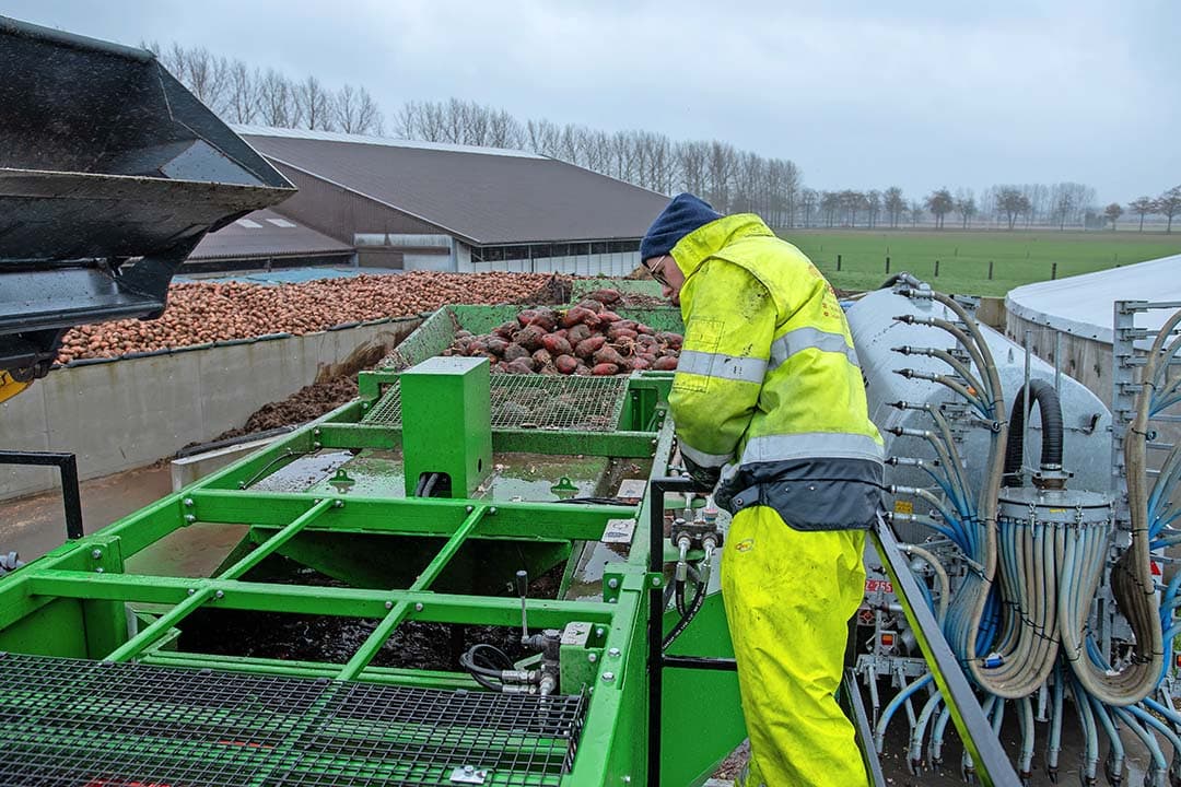 Een medewerker van loonbedrijf Franco regelt de doorvoer van de bieten. In principe kan één persoon de machine bedienen.