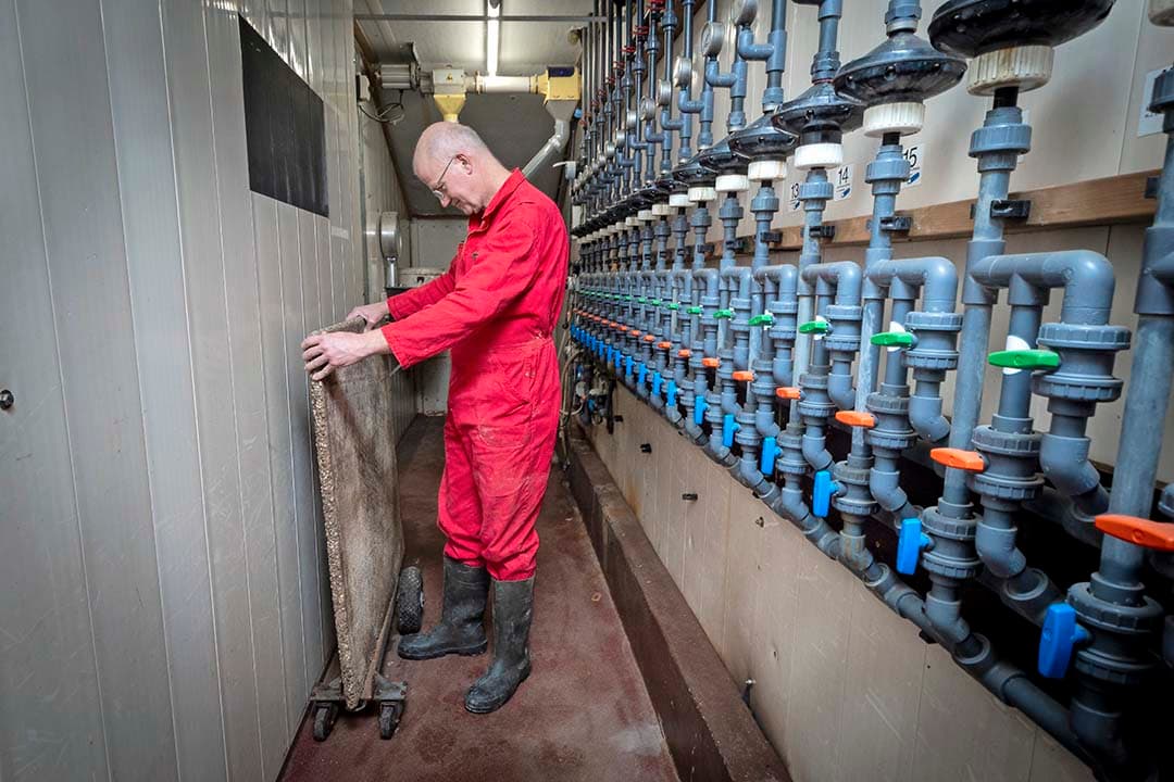 Met dit handige karretje kan Wermink de 110 kilo zware betonplaten vervoeren.
