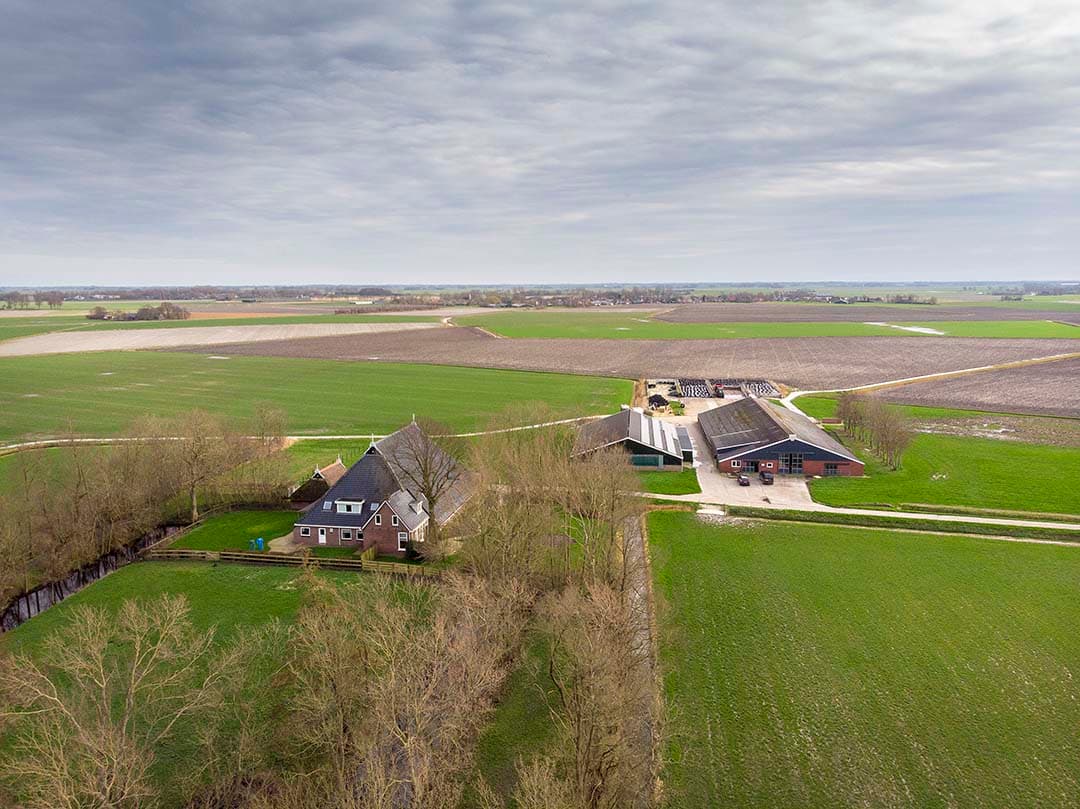 Het jongvee-opfokbedrijf van Gerrit Brouwer in Oosternijkerk (Fr.).
