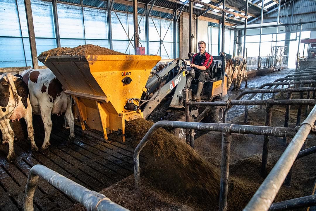 Roy Diepman, de partner van Julia, strooit dikke fractie in de boxen. De maten kiezen hiervoor vanwege het koecomfort.