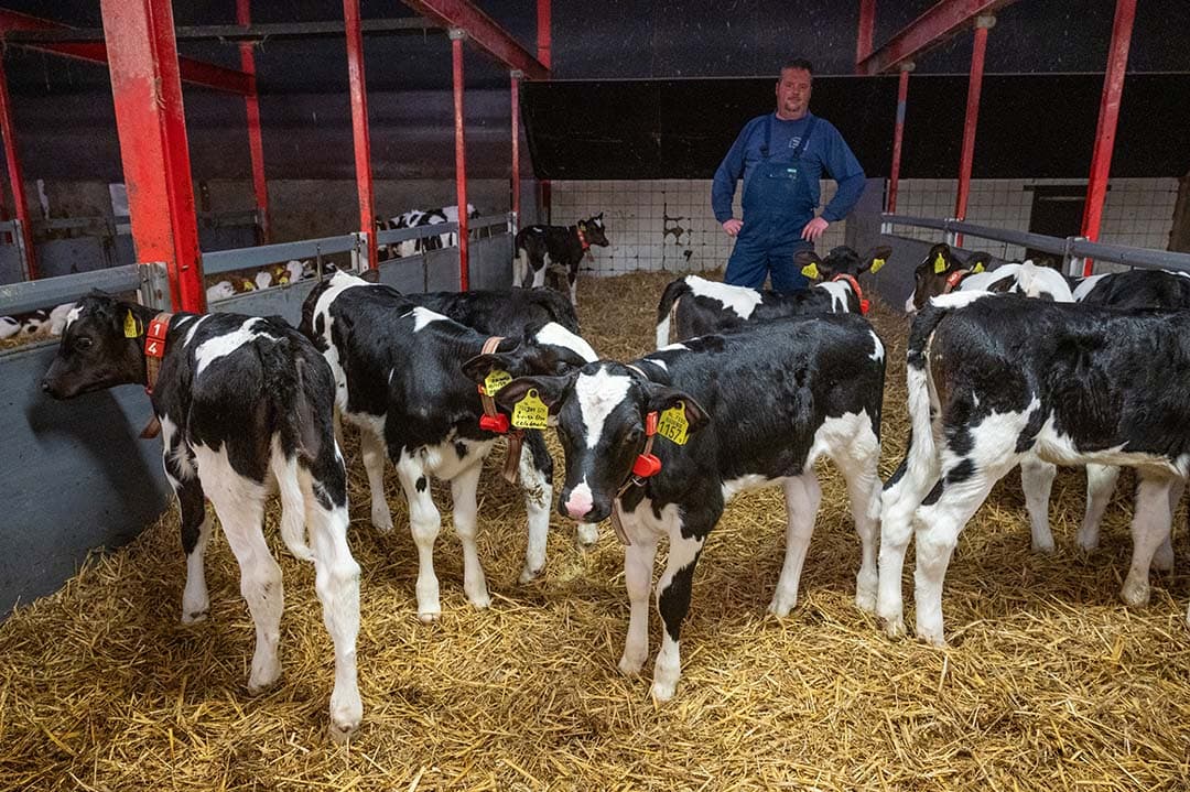 Monitoring en controle begint al bij de kalveren. Ook het jongvee wordt voor onderzoek ingezet.