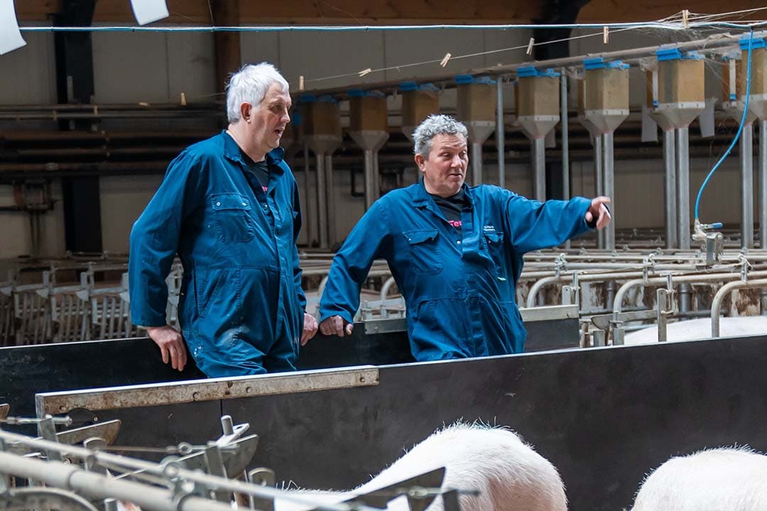 Van den Heuvel en John Houben van Inter Continental in de zeugenstal. Ze stellen nogmaals vast dat het concept klopt. Een frisse stal en rustige zeugen. - Foto's: Bert Jansen
