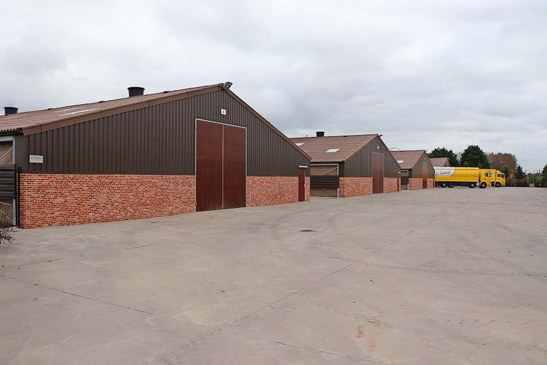 Op de locatie in Wontergem staan de vier nieuwste stallen, gebouwd in 2017 met in totaal 120.000 vleeskuikens.