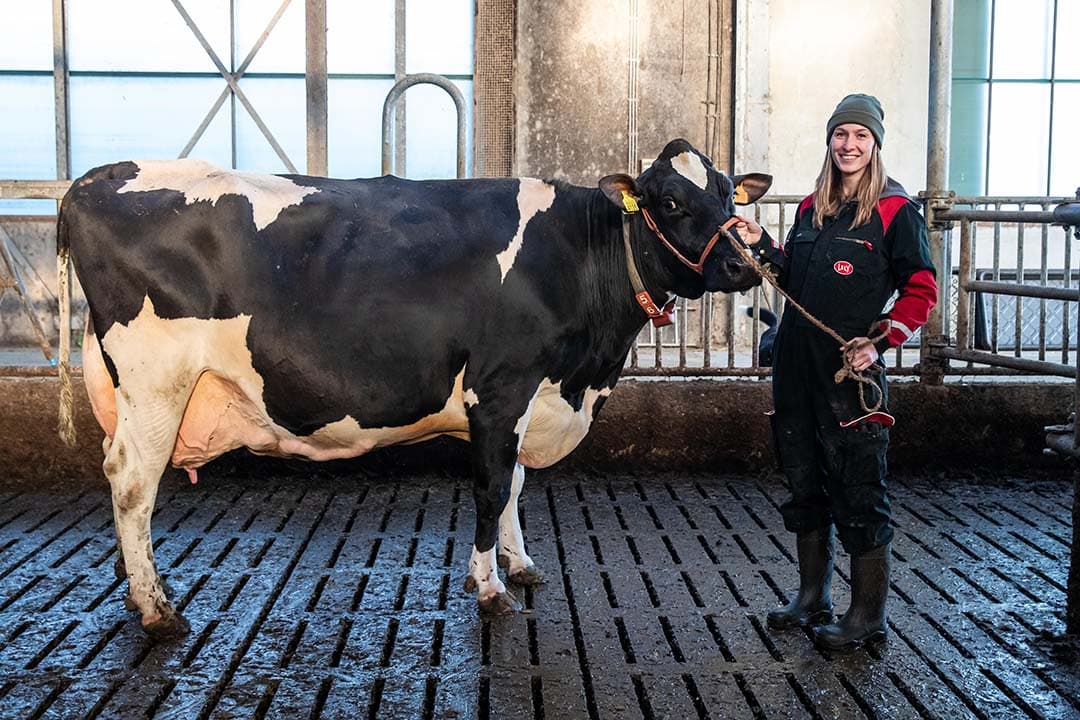 De maten zijn met zeventien 100.000 kg koeien erg actief in de topfokkerij. Julia staat hier bij een van de topkoeien uit de stal van Poppe.