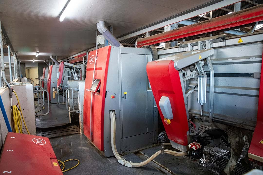 De maten melken met robots en combineren dat graag met weidegang. De koeien gaan via de robot naar buiten, het aantal melkingen is 3,5 per etmaal.