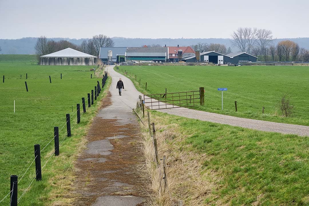 Biologische melkveehouderij