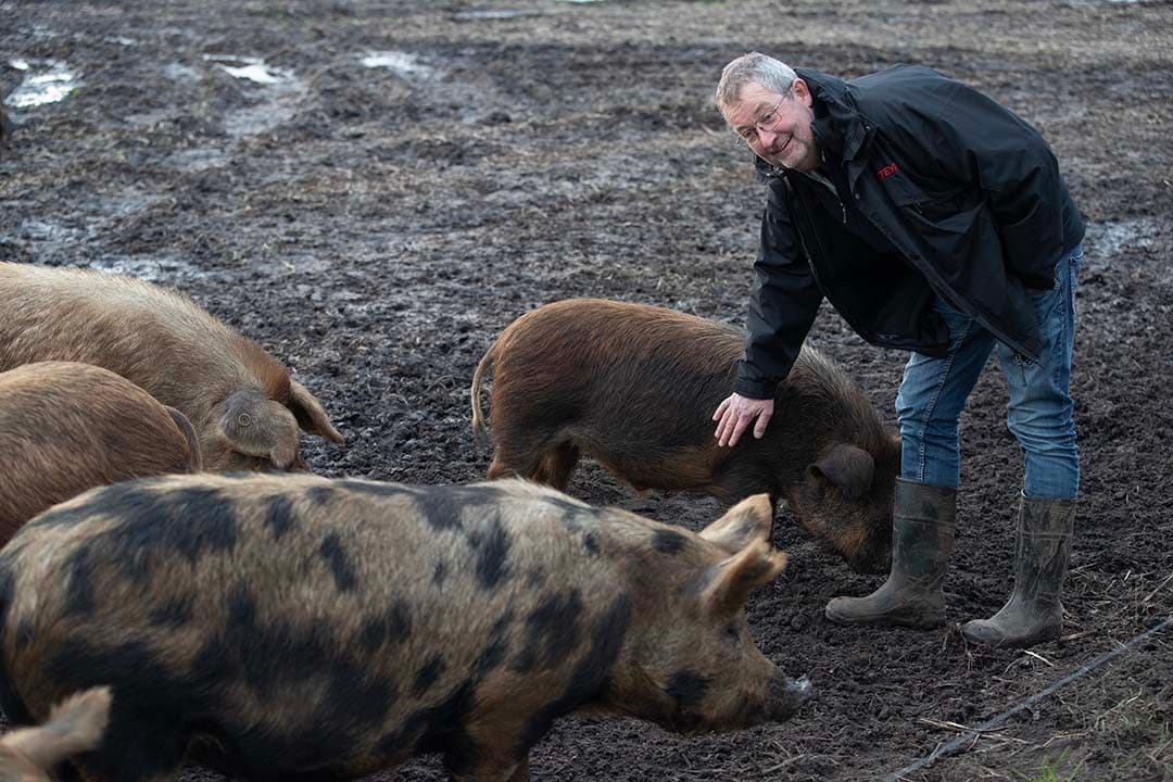 Bert-Jan de Groot beleeft veel lol aan de varkens en vindt het slimme en grappige dieren. “Zodra ik op het perceel kom, heb ik een hele koppel achter mij aan”, zegt hij.