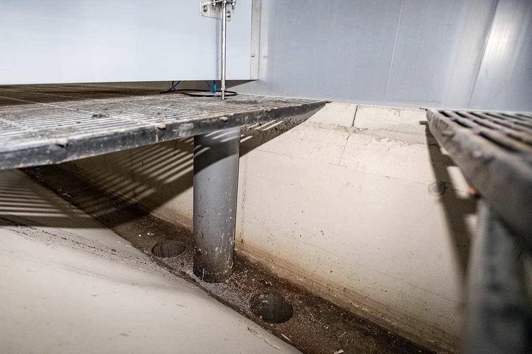De schuine putwanden in de mestgang. In het midden zitten twee openingen die met één cilinder open en dicht gaan.