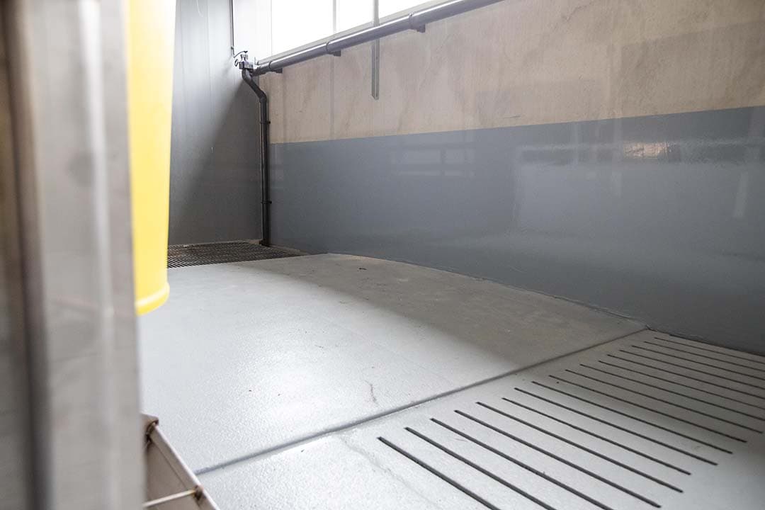 Vooraan het waterkanaal, dan de bolle vloer met erachter het mestkanaal. Langs de afdelingsmuur loopt de spoelleiding om de put leeg te maken.
