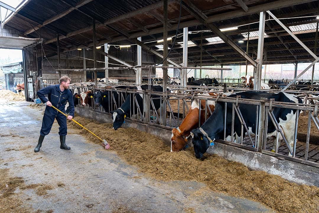 Als niet-boer nam Luuk de Gooijer met zijn partner het melkveebedrijf over. Voor de aankoop werd een crowdfunding opgezet.