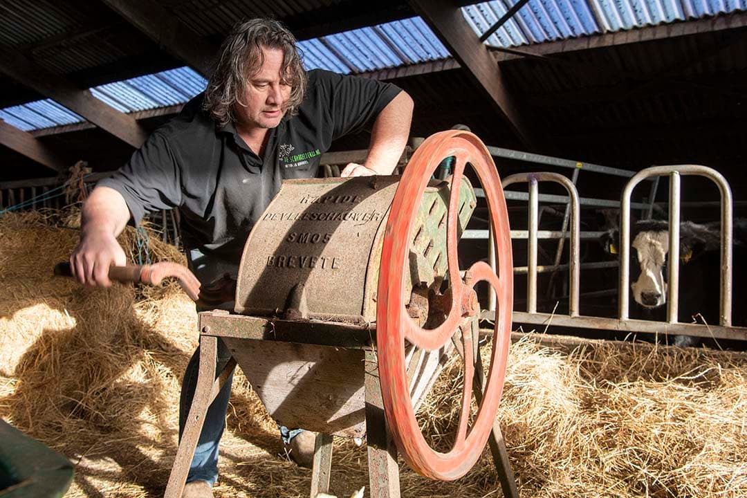Groninger Blaarkoppen