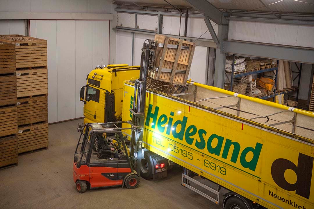 Dennis de Winter lost de laatste pootaardappelen van seizoen 2023 in een vrachtwagen van een Duitse afnemer.