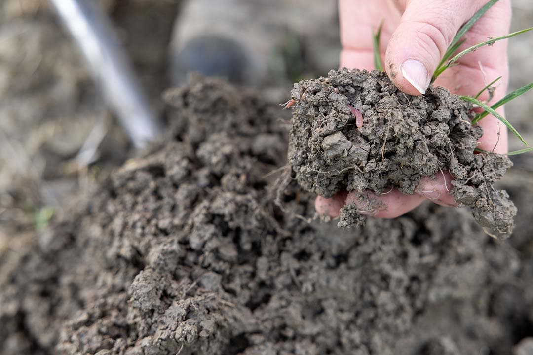 voordelen niet-kerende grondbewerking