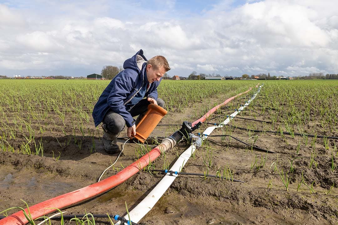 Mikey Akkermans heeft met zijn vader een akkerbouwbedrijf in Wouw. Het was de eerste keer dat ze uien plantten en ook nog eens vroeg, namelijk de laatste week van januari. De regenval daarna heeft de planten niet geschaad.