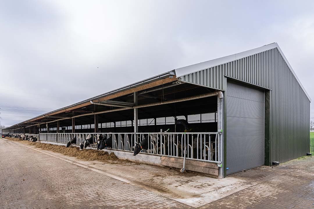De uitgebouwde stal op het bedrijf van familie Hunse. Het middengedeelte was bestaand. Recht is aangebouwd voor droge koeien, links voor extra ruimte voor jongvee. - Foto's: Andrea van Schaik