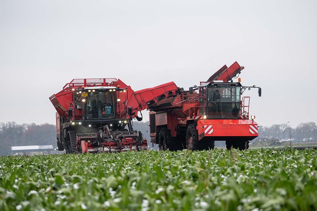 Rijdend lossen op de overlaadwagen. Ook met deze combinatie lukte het niet om alle bieten uit de grond te krijgen.