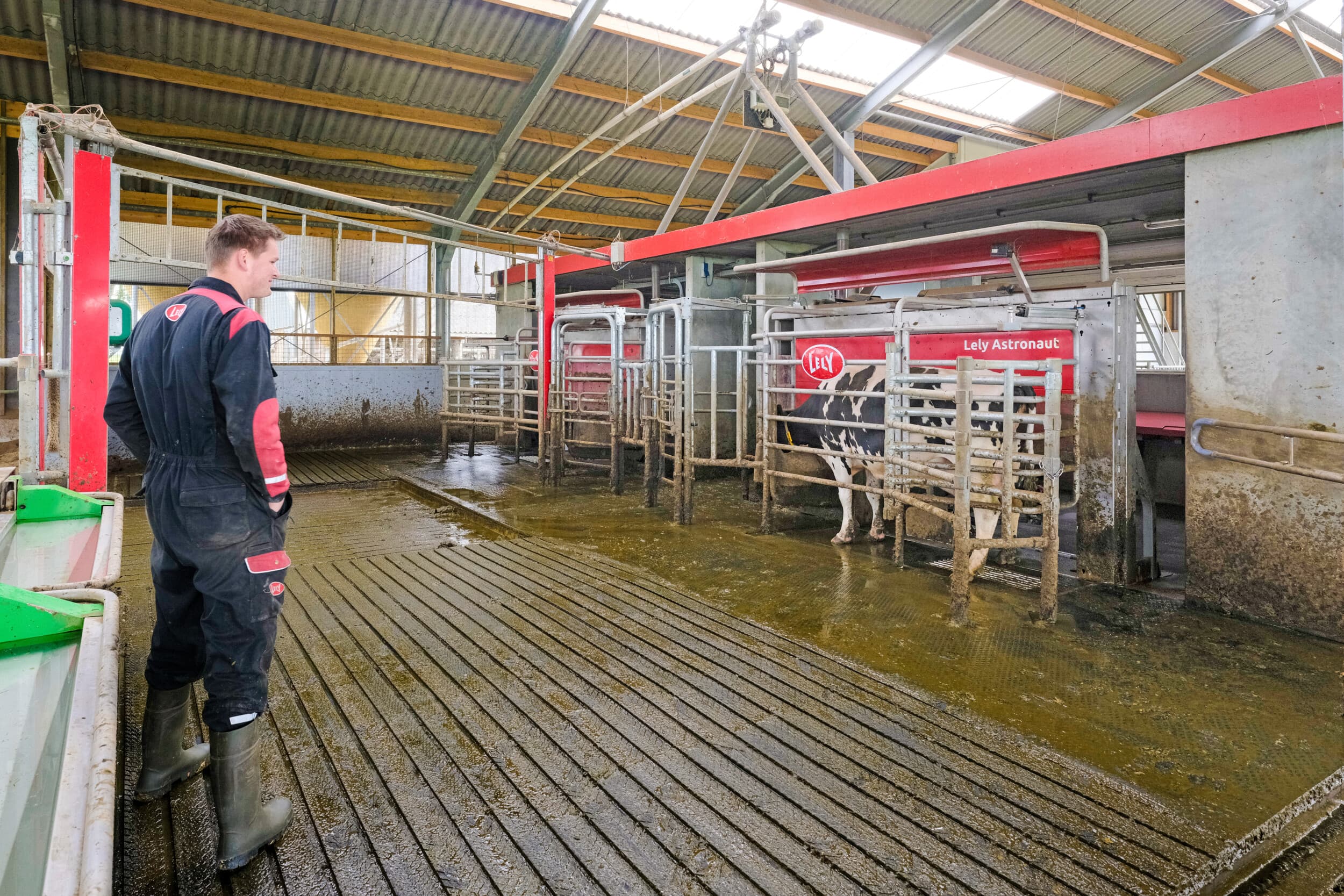 Voor Marthijn Aalfs was duidelijk dat melkrobots in de nieuwe stal het melken zouden overnemen. Dat was het uitgangspunt. De stal is dan ook min of meer om de robots heen gebouwd evenals routing van de koeien naar buiten maar ook in de stal. – Foto's: Jan Willem van Vliet