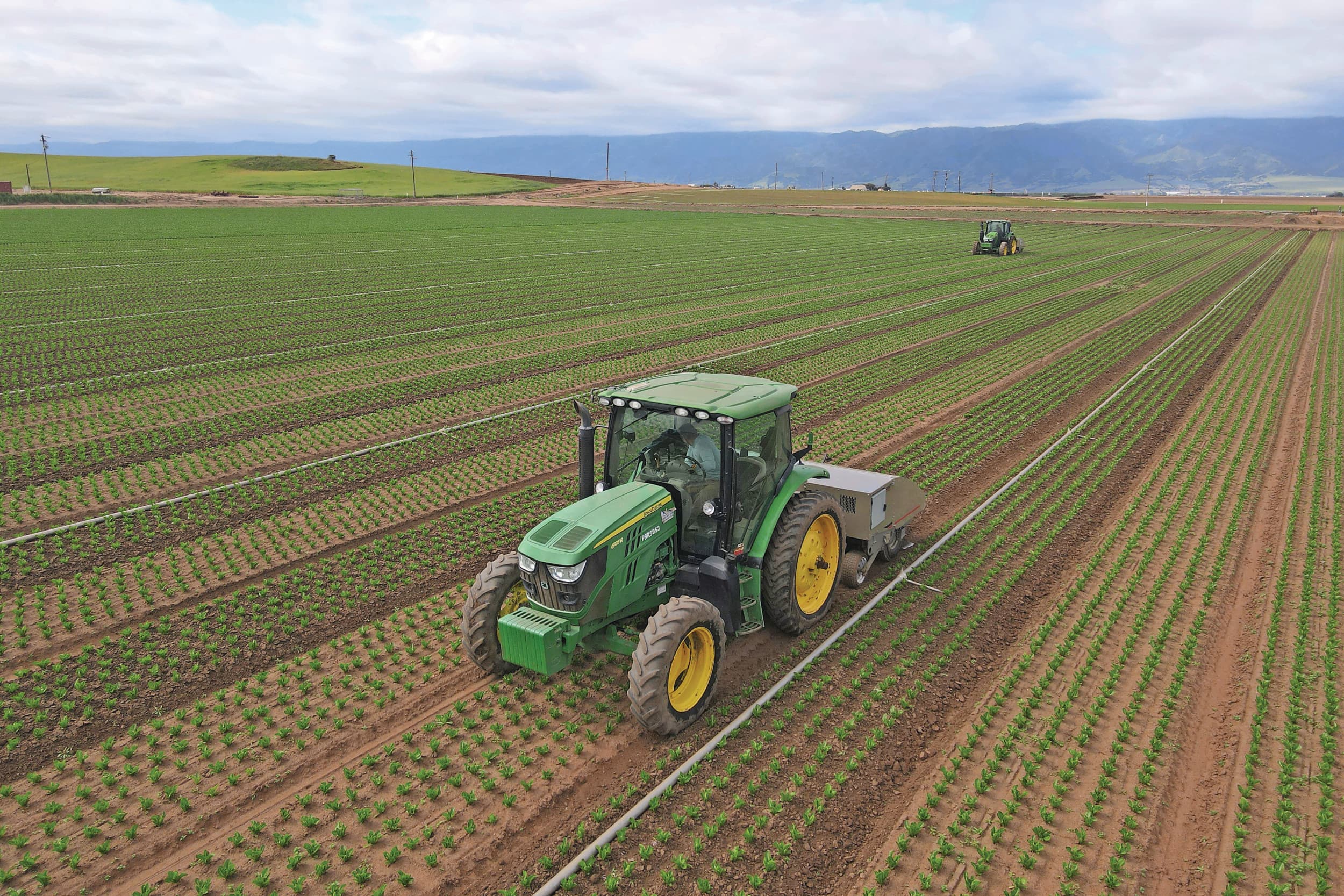 Twee slimme cultivators van Stout in een veld met biologische romainesla. Foto’s: Maxence Guillaumot