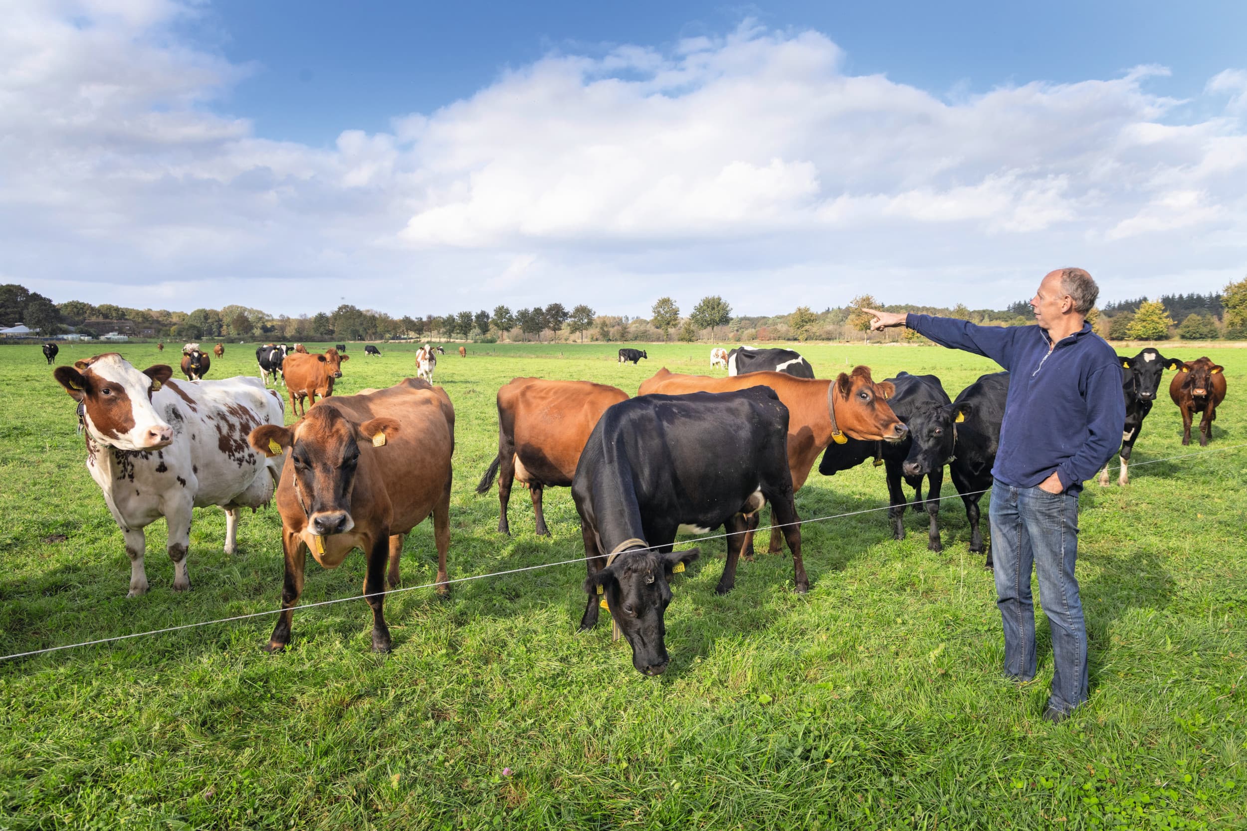 compost met mest beter voor grasland