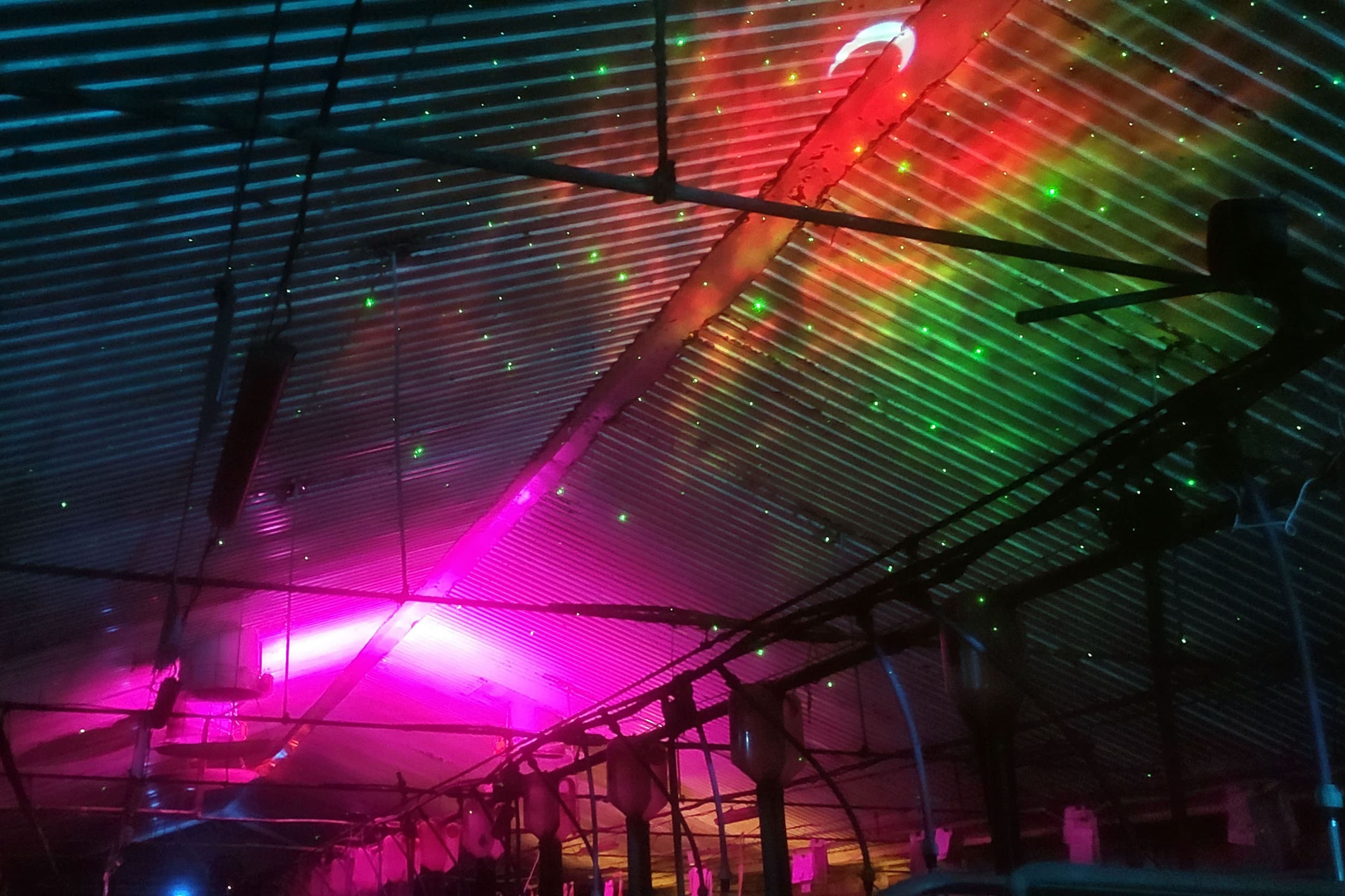 Een ware lichtshow, afgestemt op de zeugen, heeft positieve effecten op gedrag en prestatie. Foto’s: Irene Camerlink