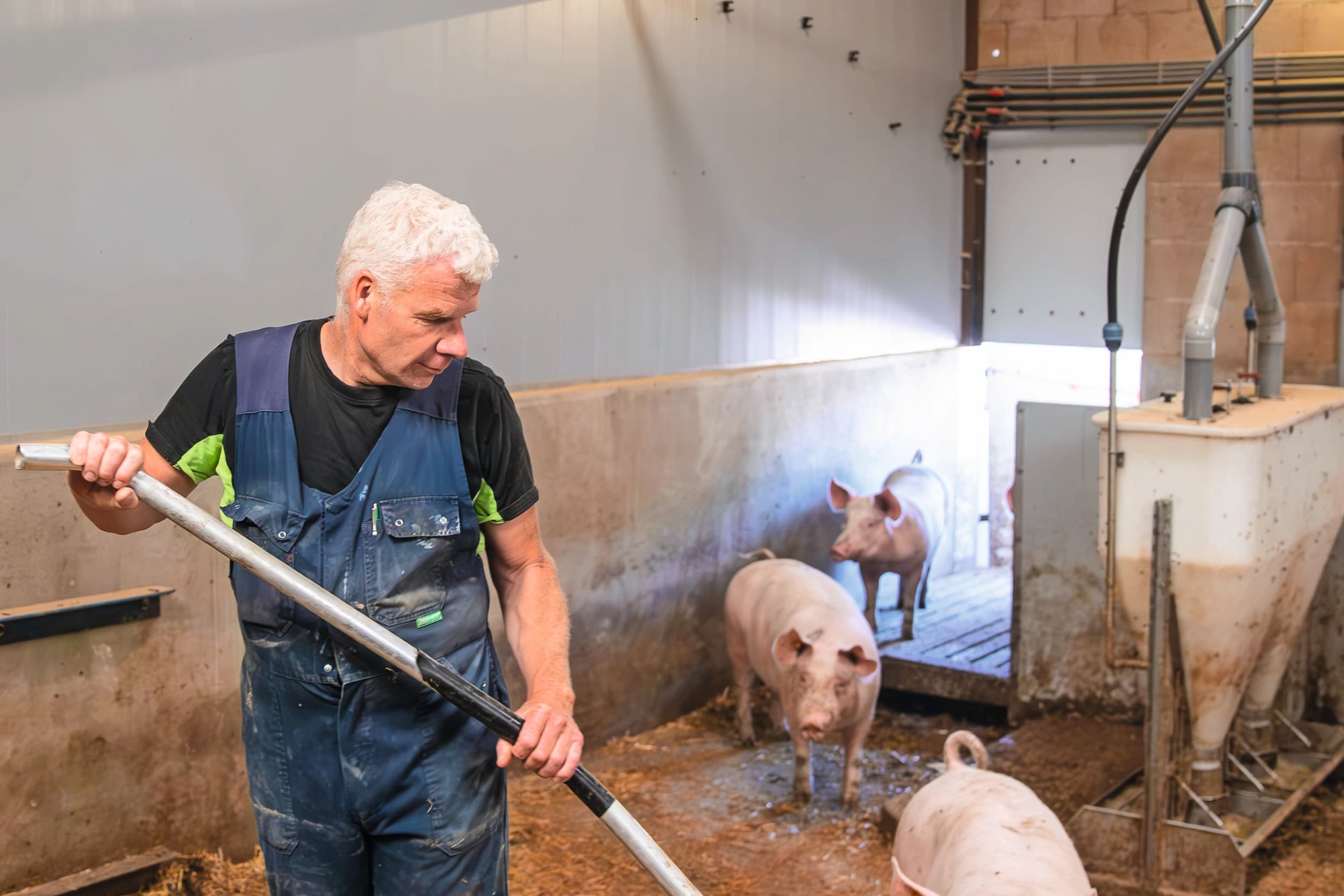 kringloop biololgische varkenshouderij