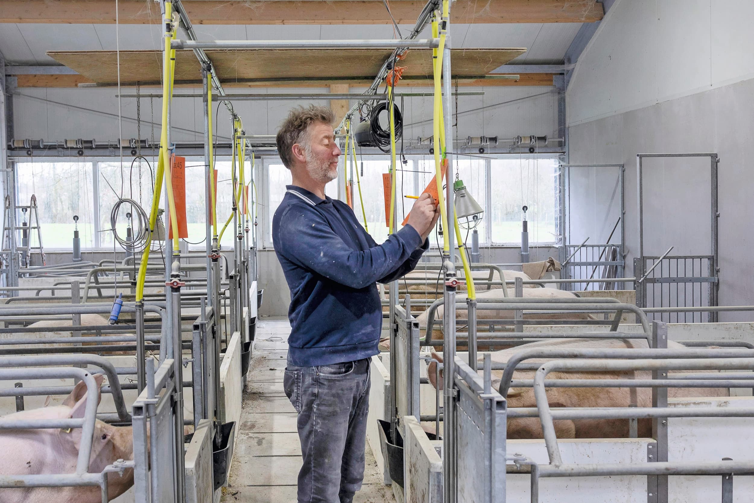 Jaco Geurts in een nieuwe kraamafdeling met bronaanpak. Hij wil en frisse stal voor die goed is voor dier en mens. Foto’s: Herbert Wiggerman