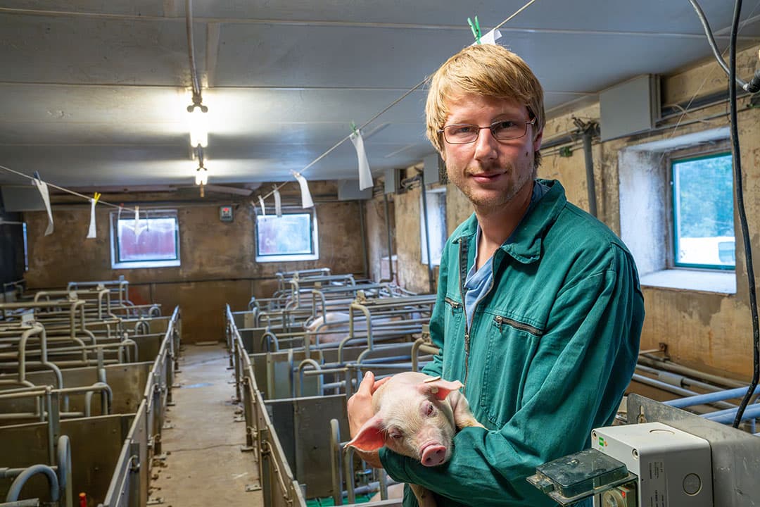 Johannes Lax (33) runt met zijn broer een bedrijf met 1.250 zeugen en 6.000 vleesvarkens.