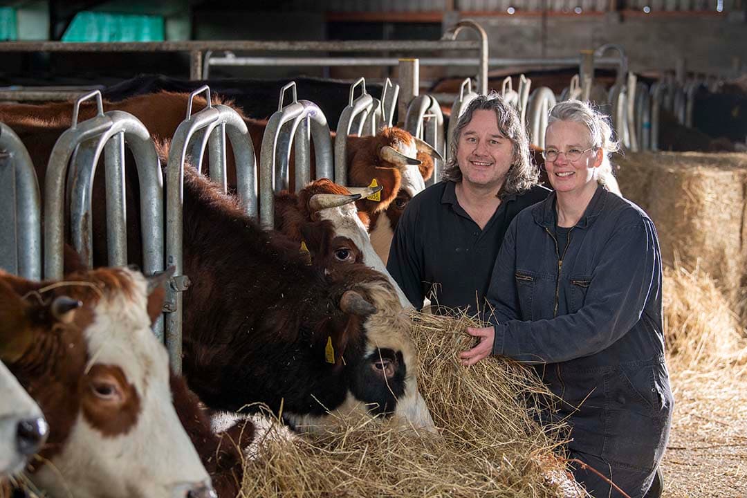 De vennoten Lotte Rensema (47) en Pieter Heida (52) houden vleesvee in Kiel-Windeweer en willen opschalen met vee en rundvleesverkoop. Pieter werkt daarnaast nog drie dagen per week buitenshuis.
